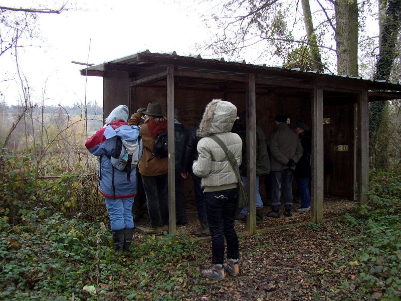 2009 01 Ornitho à Ecluzelles 07